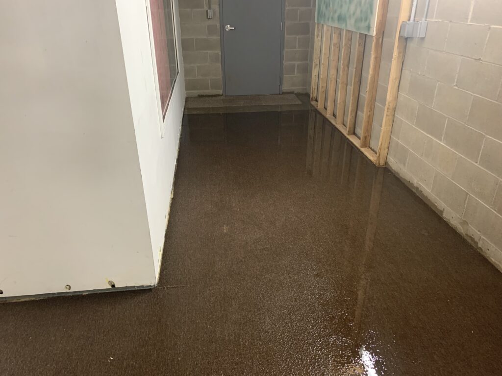 About Us Elite Clean Restoration