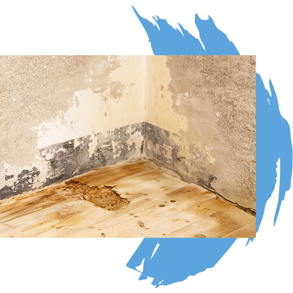Water Damage Cleanup Noblesville IN
