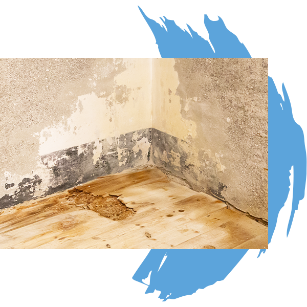 Water Damage Cleanup Avon IN