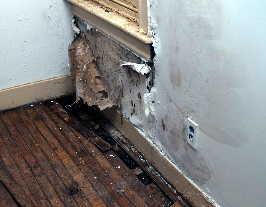 preventing water damage