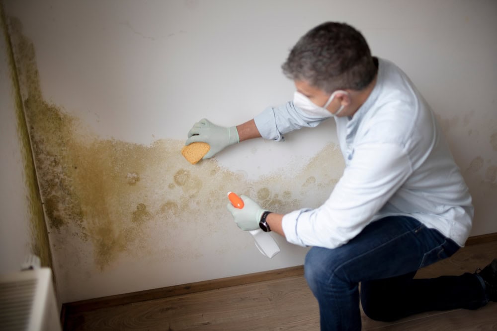 A person wearing gloves and a mask kneels on the floor, cleaning mold caused by water damage from a white wall with a sponge and spray bottle&mdash;an essential step in Water Damage Restoration Indiana services.