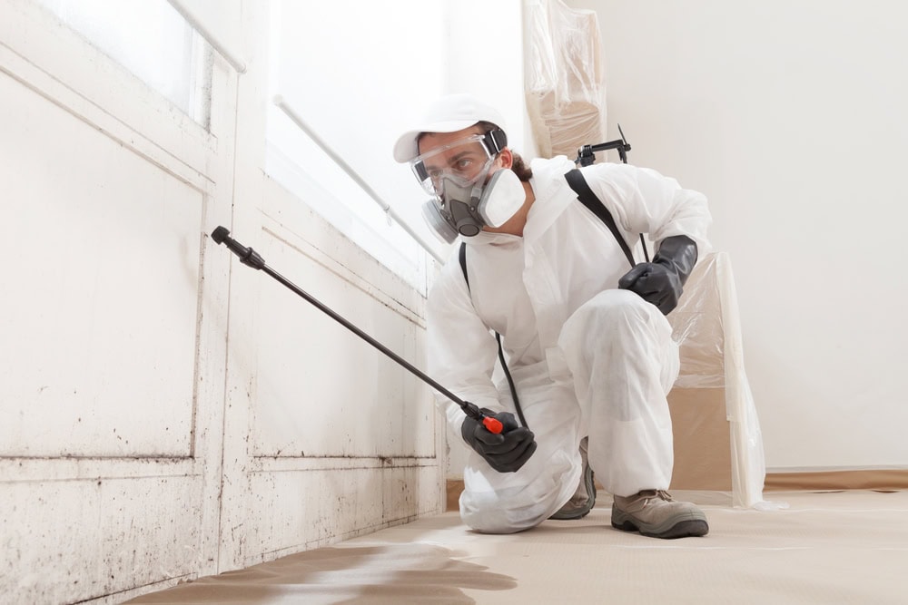 A person in protective gear, including a mask, gloves, and coveralls, sprays a substance on a mold-infested wall indoors, likely performing mold remediation or pest control.