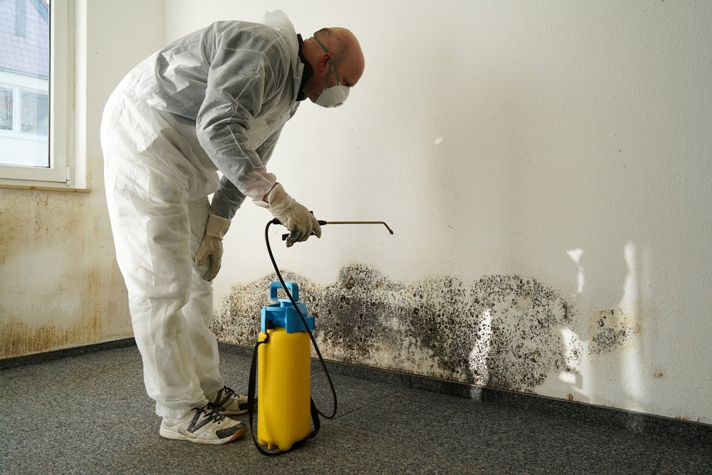 A person in protective clothing sprays cleaning solution on a wall covered with black mold in a room with a window.