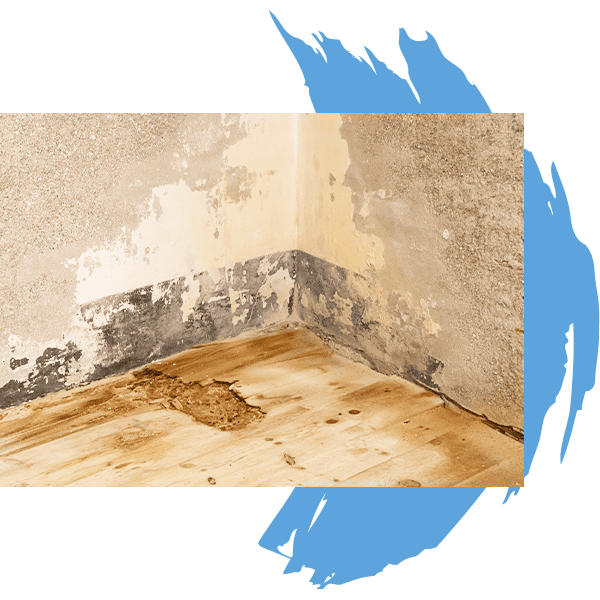 A damaged wall and wooden floor in a room corner display mold, peeling paint, and water stains—clear signs of moisture issues. Blue paint strokes accent the background, highlighting the need for Water Damage Restoration Indiana services.