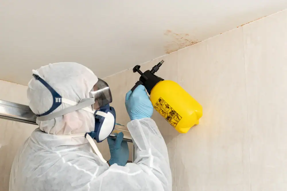A person in protective gear and a respirator mask sprays a cleaning solution from a yellow bottle onto a moldy ceiling corner indoors.