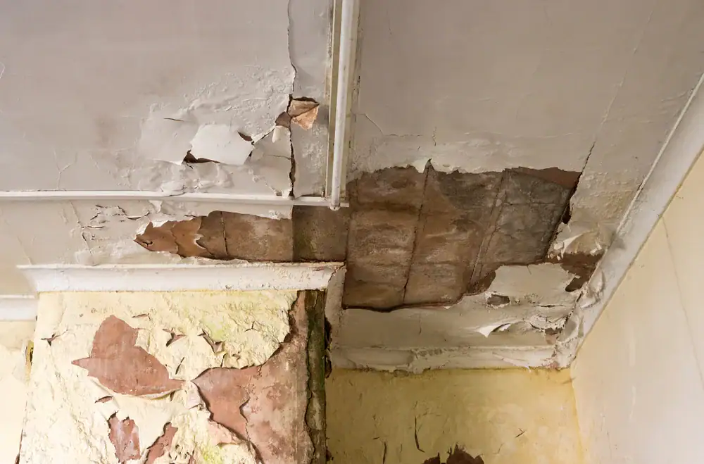 A ceiling and upper wall with extensive water damage; paint and plaster are peeling and cracked, revealing brown stains and decayed material underneath, indicating severe moisture issues.