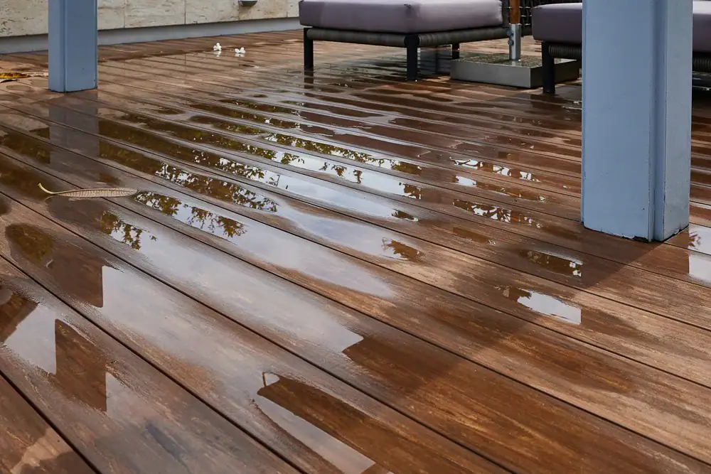 A wet wooden deck with water reflecting nearby objects, including furniture and vertical blue posts. A few petals and a dry leaf are scattered on the deck.